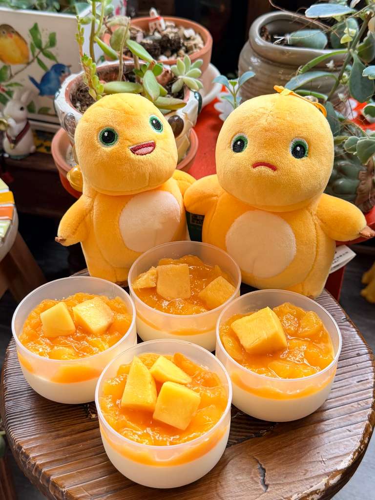 Mango Panna Cotta